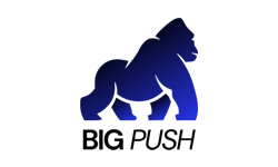 Logo Big Push