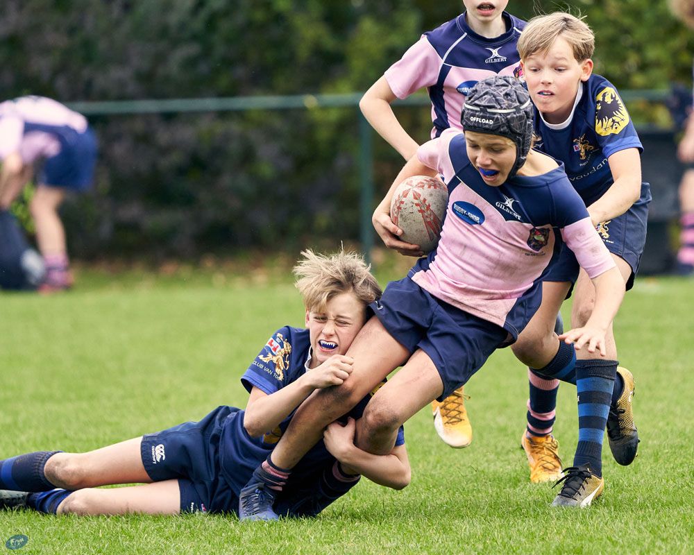 minis-rugbyshots-188029